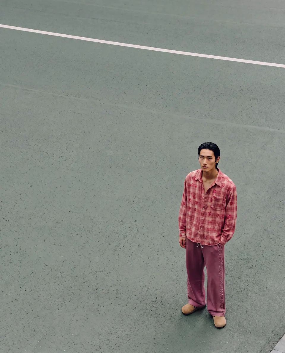 Seen from above, standing alone on grey tarmac.